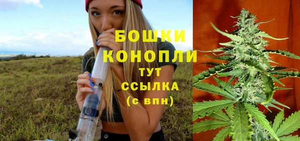гидропоника Богородицк