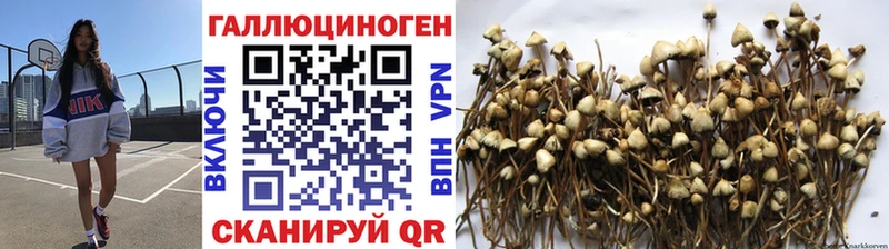 Галлюциногенные грибы мухоморы  omg онион  Корсаков 
